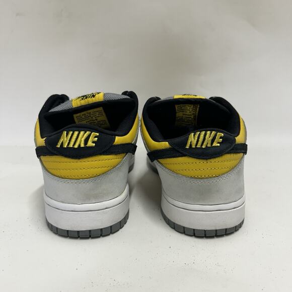 Nike SB Dunk Low Pro “BIC” 304292-701 main image 7